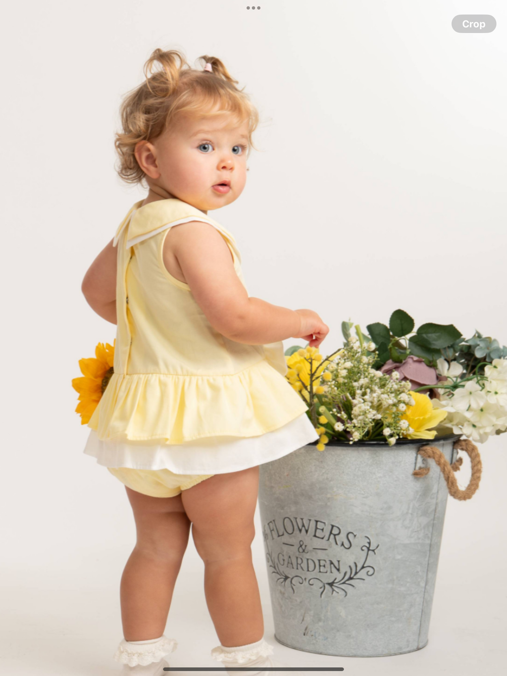 Pre order Caramelo Baby Girls Lemon Woven Sailor Dress & Jampant  0226582