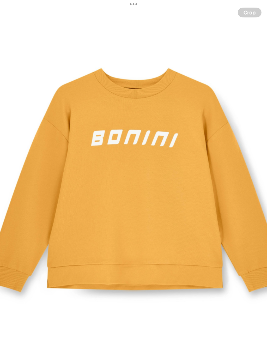 Bonini by A* Dee Aspire Logo Sweatshirt - Florida Orange   0226623