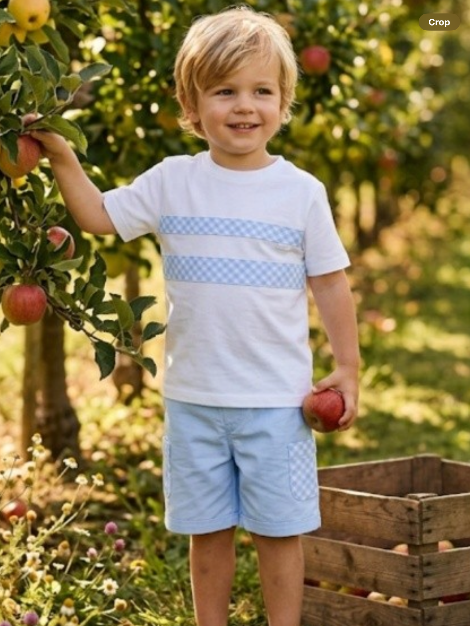 Pastels Ralph Blue T-Shirt & Short Set - 807G      0326693