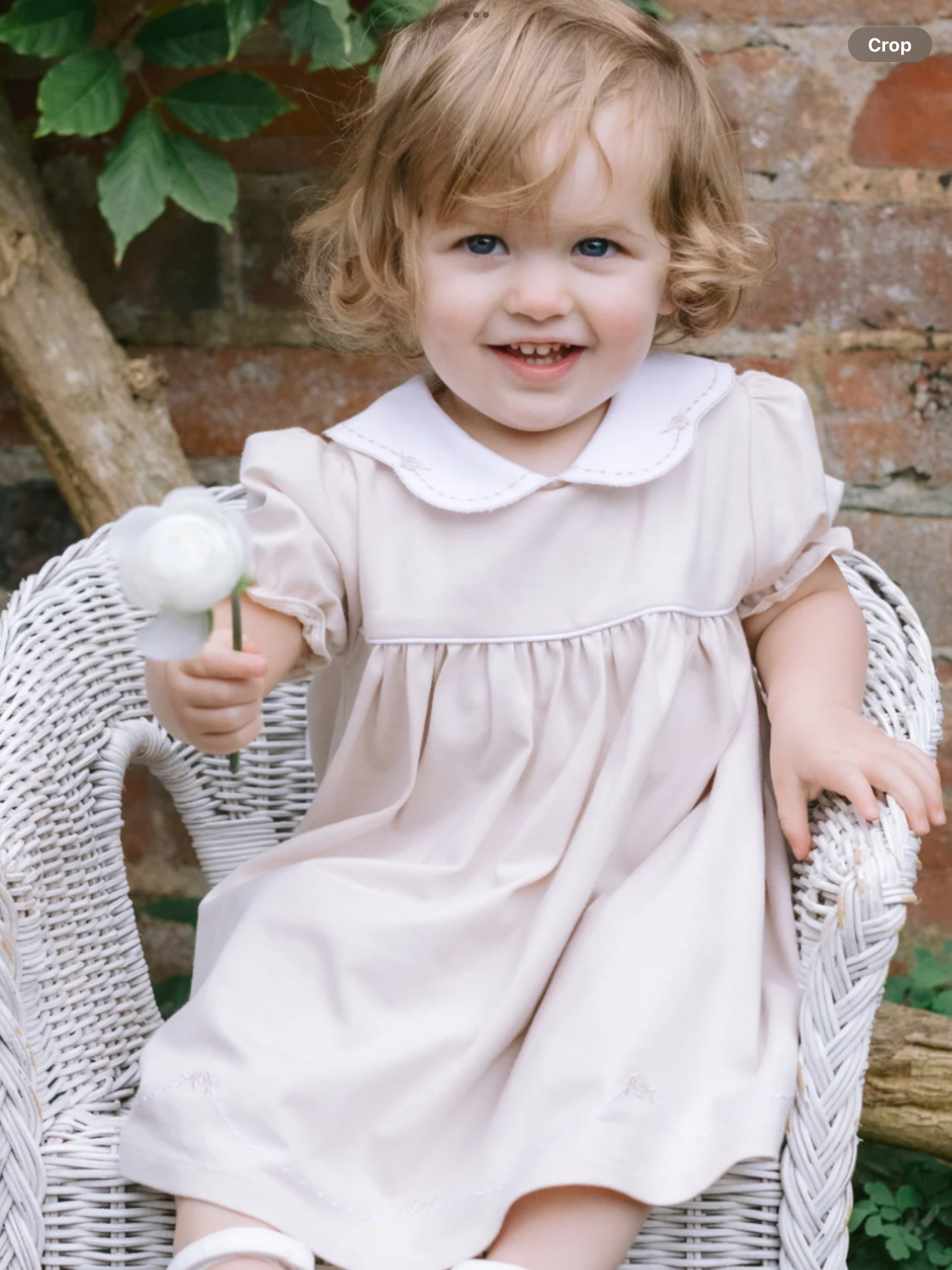 Emile et Rose Jemima Stone Girls Pretty Summer Dress 012556