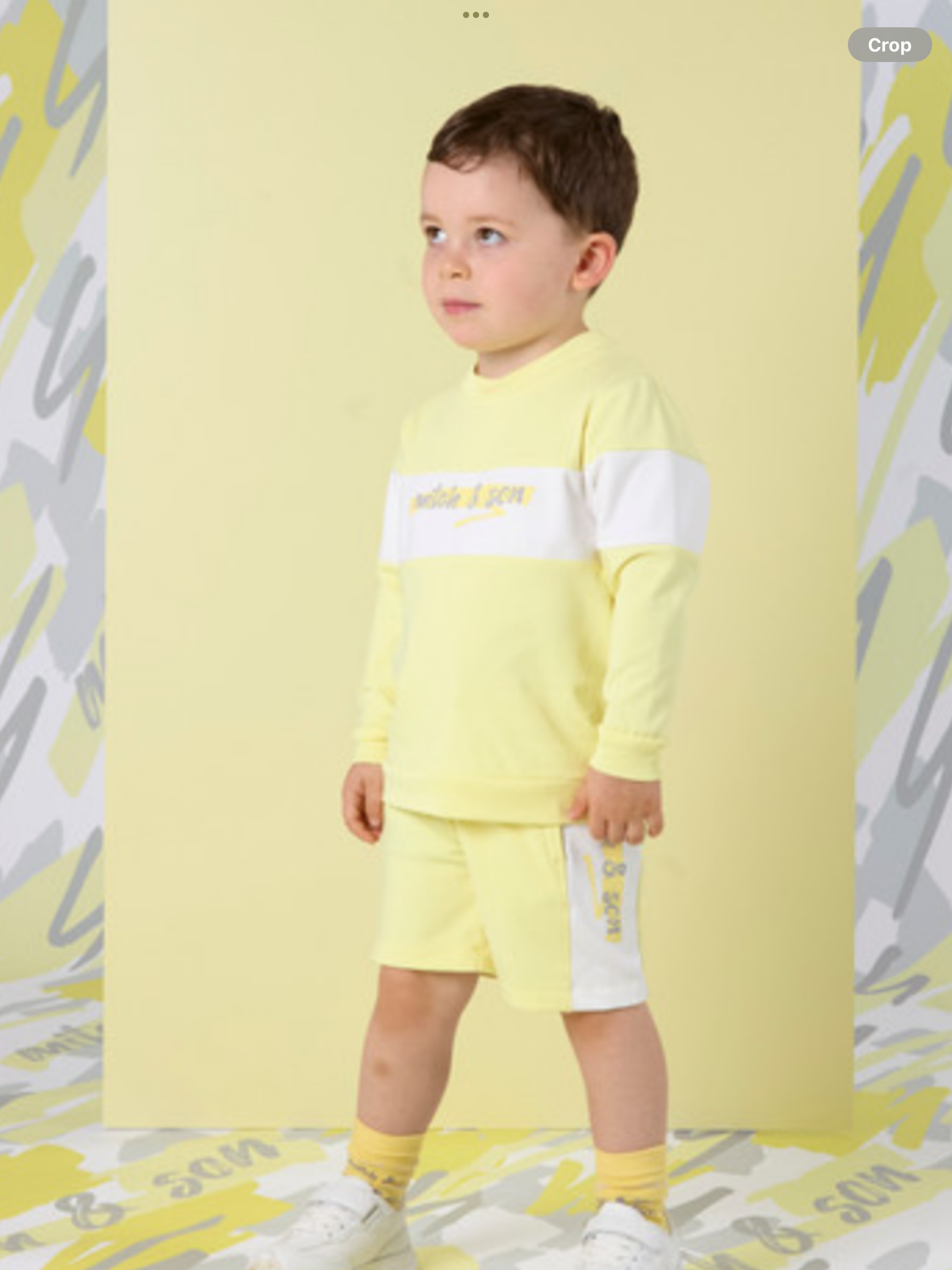 MITCH & SON GARY PANEL SWEATSHIRT & SHORT SET    0225125