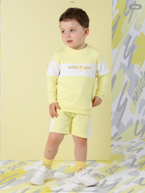 MITCH & SON GARY PANEL SWEATSHIRT & SHORT SET    0225125