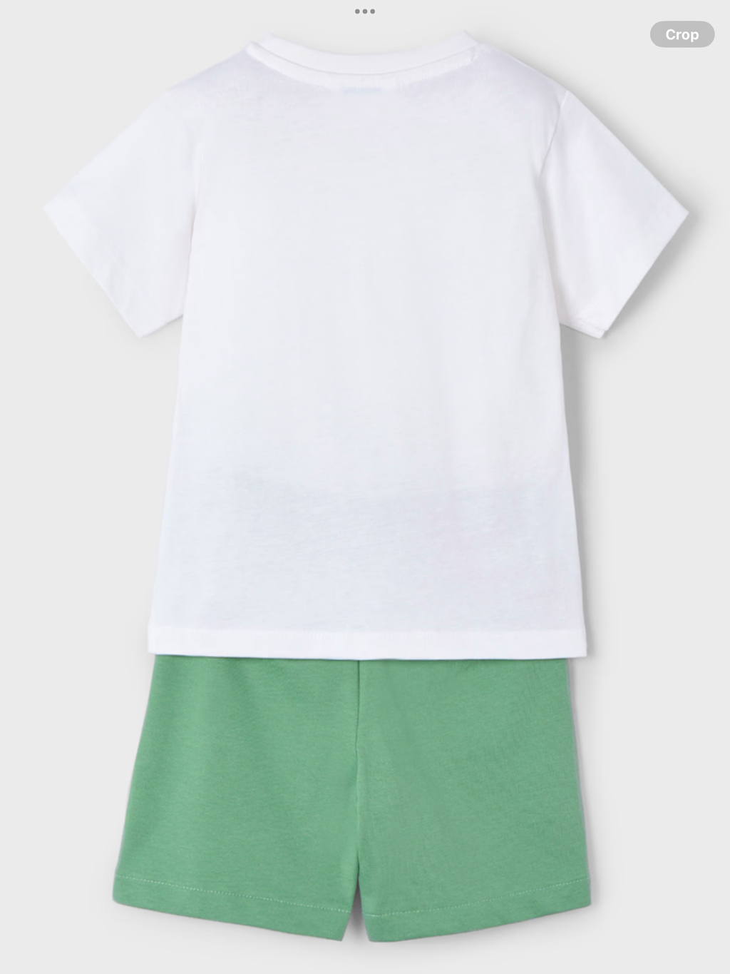 Boy turtle print shorts and t-shirt set   0225160