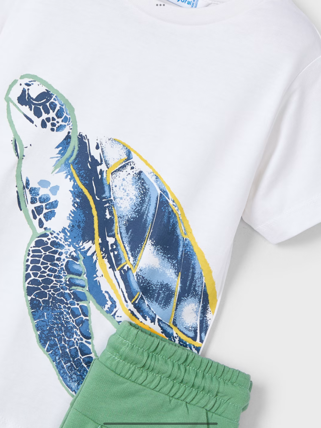 Boy turtle print shorts and t-shirt set   0225160