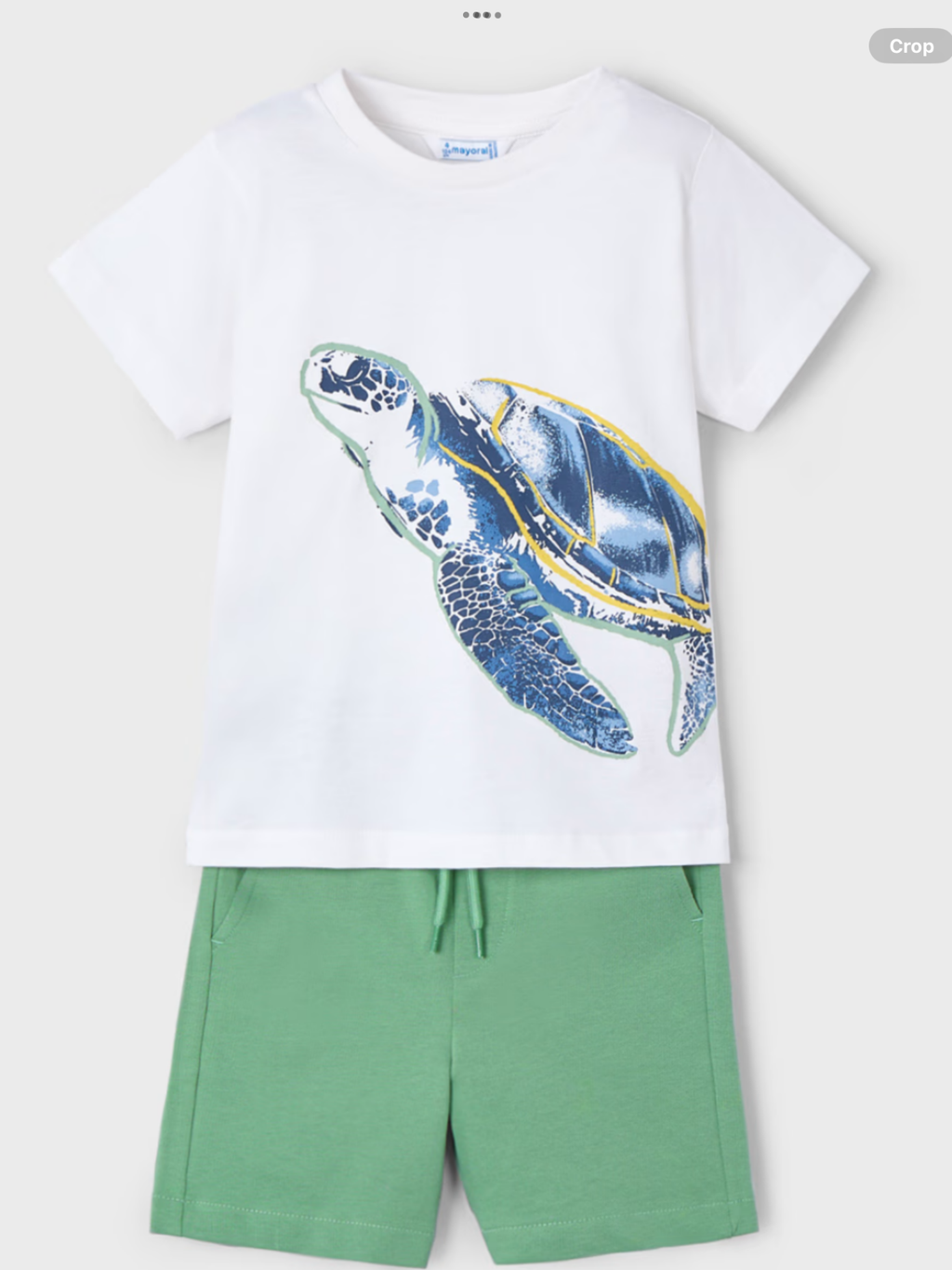 Boy turtle print shorts and t-shirt set   0225160