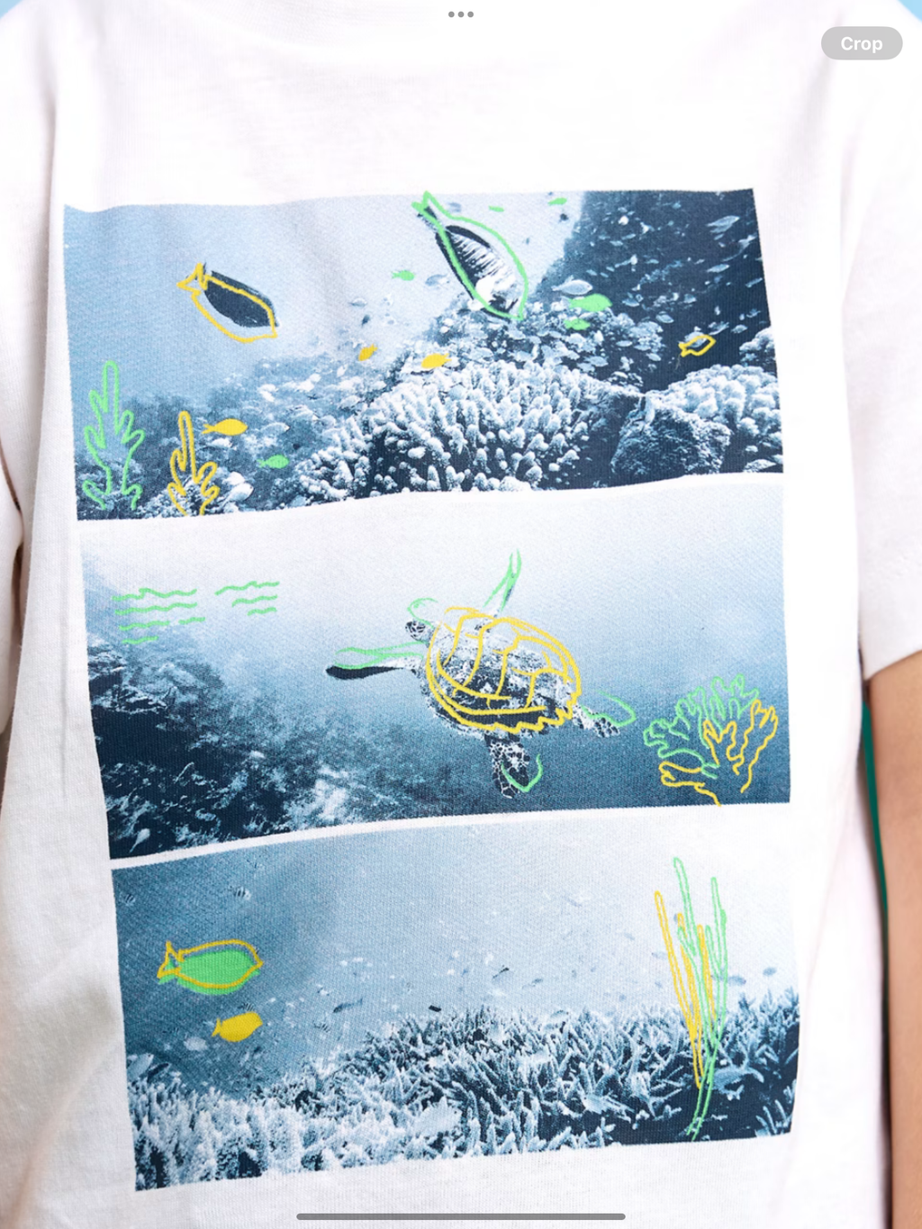 Boy 3 piece turtle print set 0225161