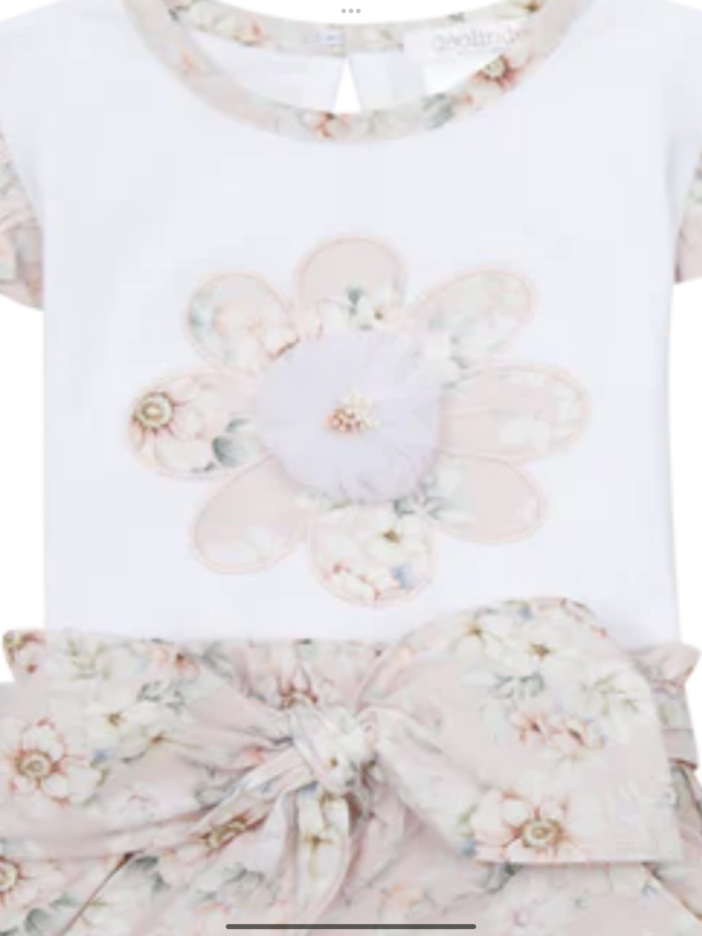 Deolinda mimi shorts set 0325200