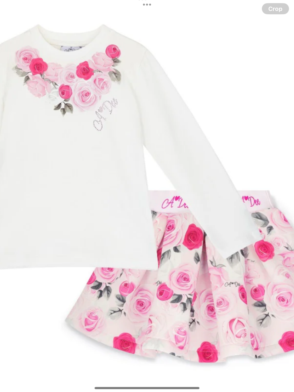 Pre order ADEE ARIELLA Rose Print Skirt Set 0726786