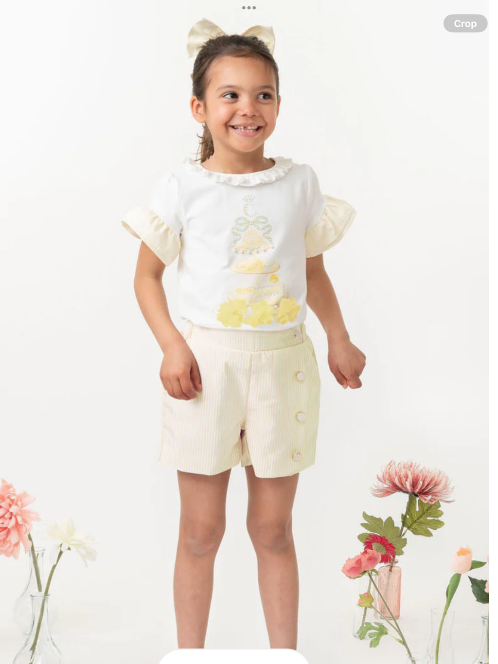 English Summer Lemon Striped Short Set 0325224