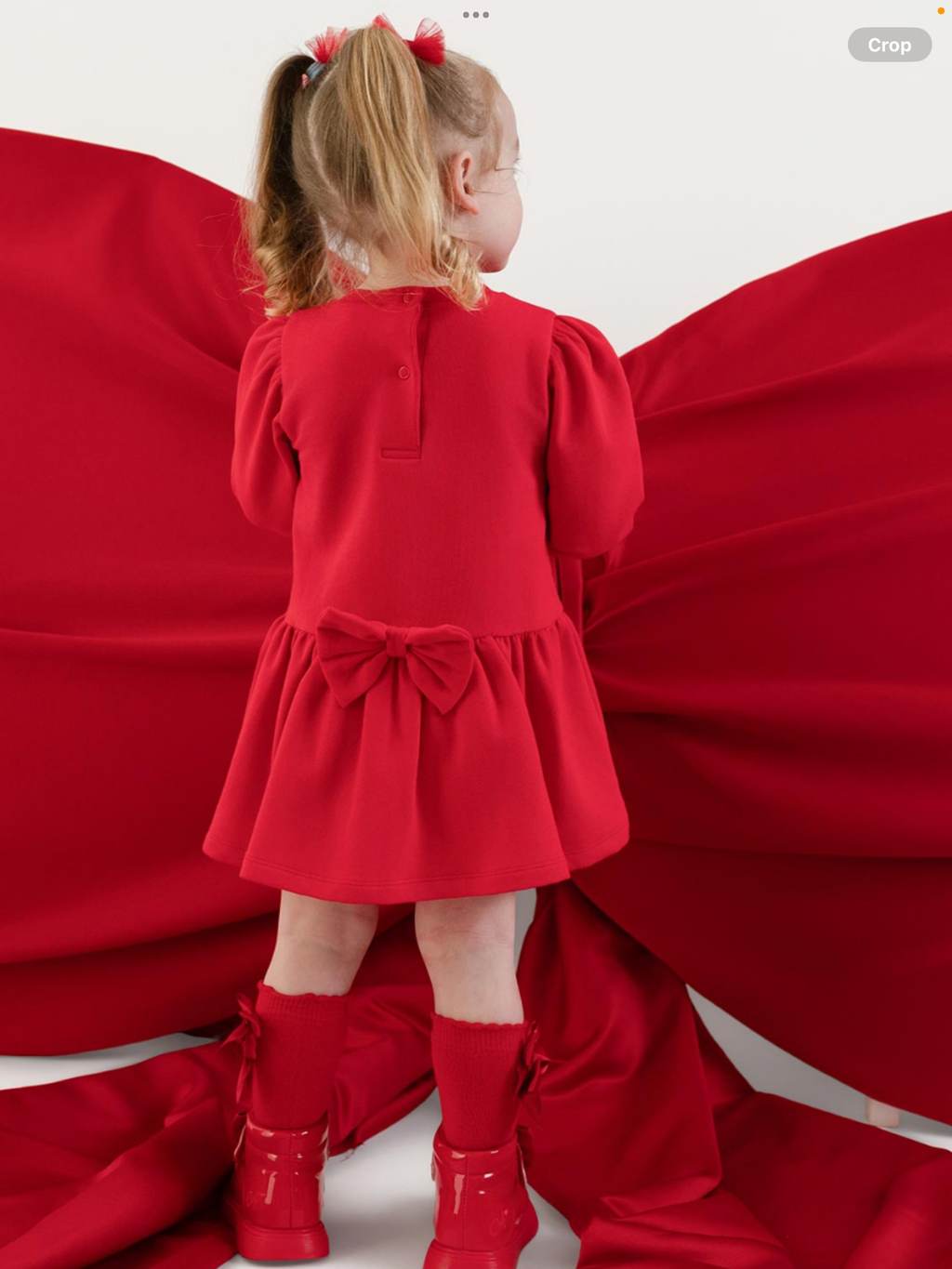 Little A Girls Little Locket Collection Esme Sweat Dress - Red 0826834