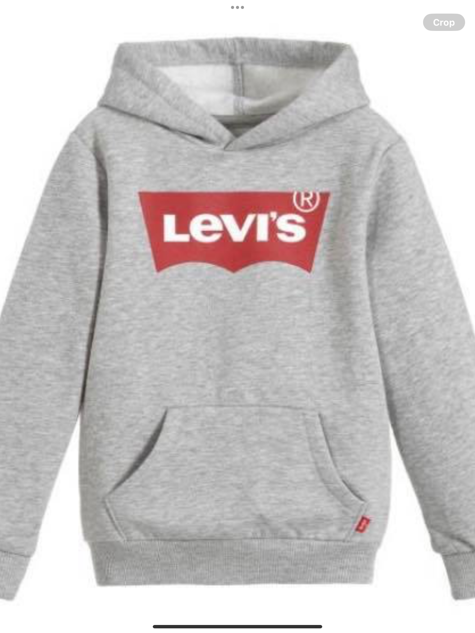 LEVIS GREY LOGO HOODIE    0725230