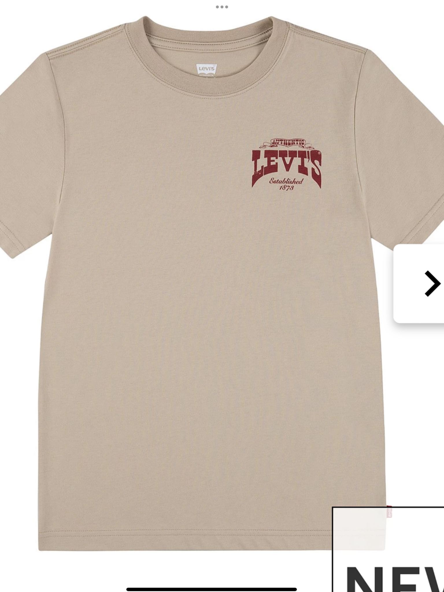 Boys Galloping Free Short Sleeve T-Shirt - Beige 0725231