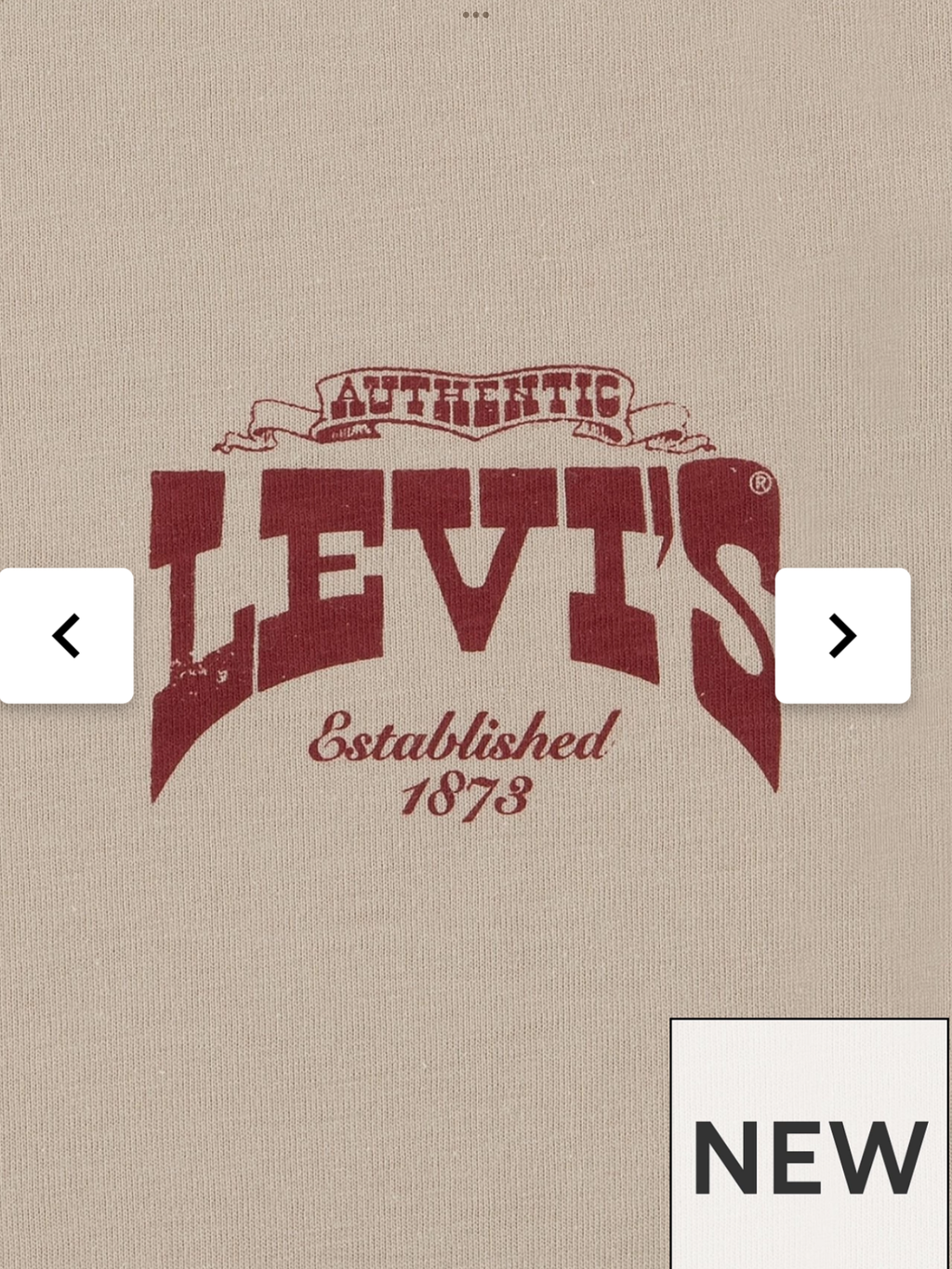 Boys Galloping Free Short Sleeve T-Shirt - Beige 0725231