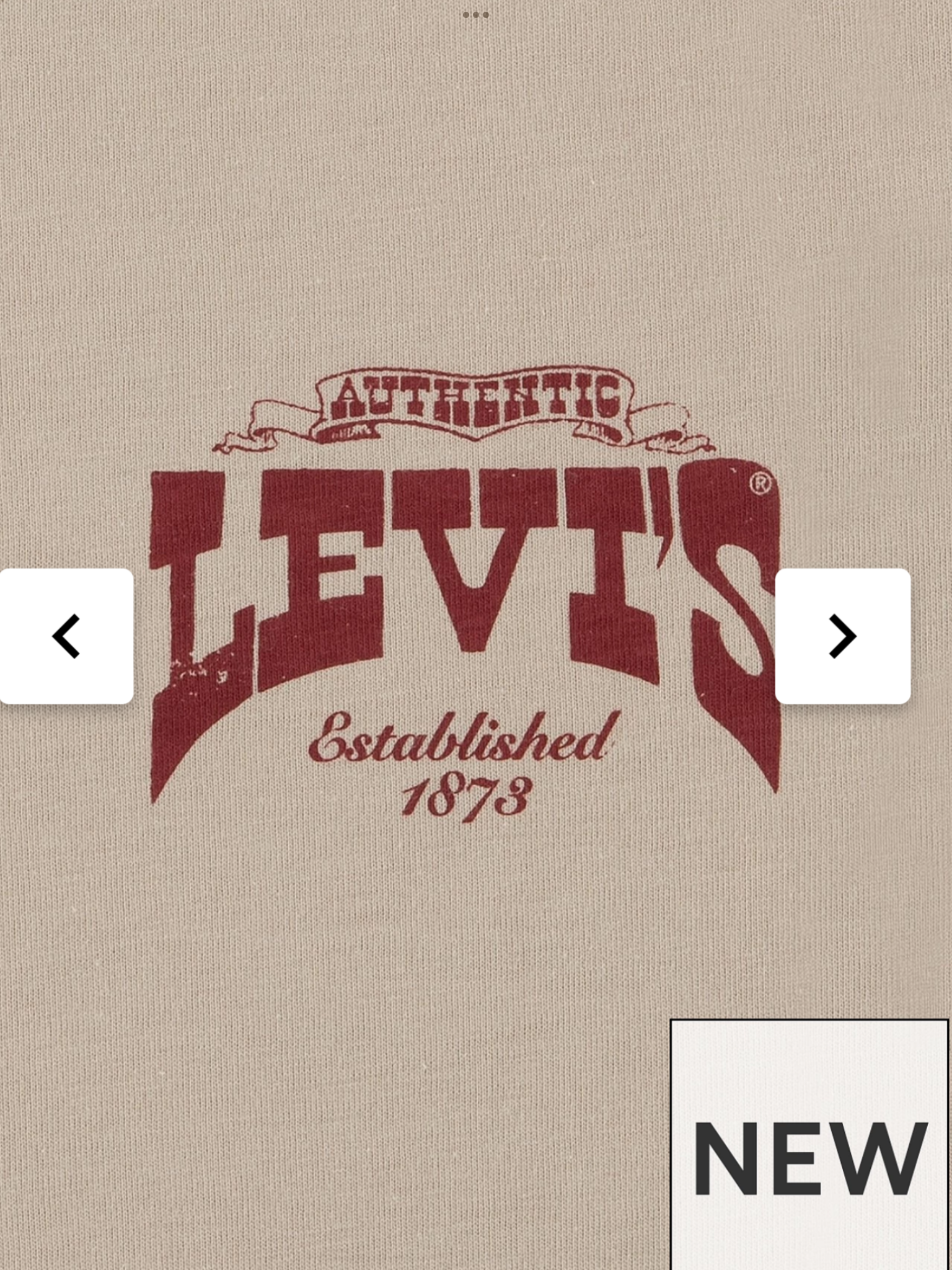 Boys Galloping Free Short Sleeve T-Shirt - Beige 0725231