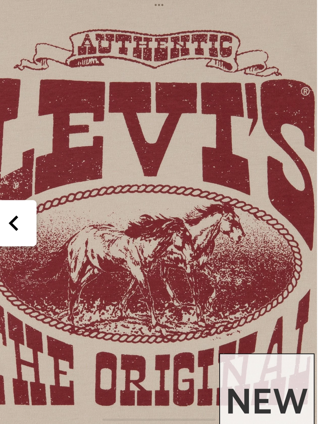 Boys Galloping Free Short Sleeve T-Shirt - Beige 0725231