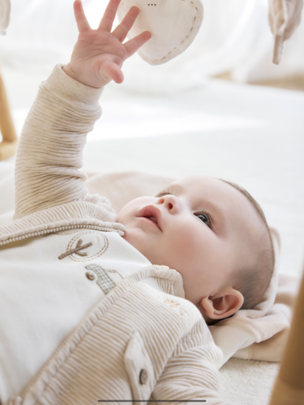 New season mayoral three piece toffee set 0725305