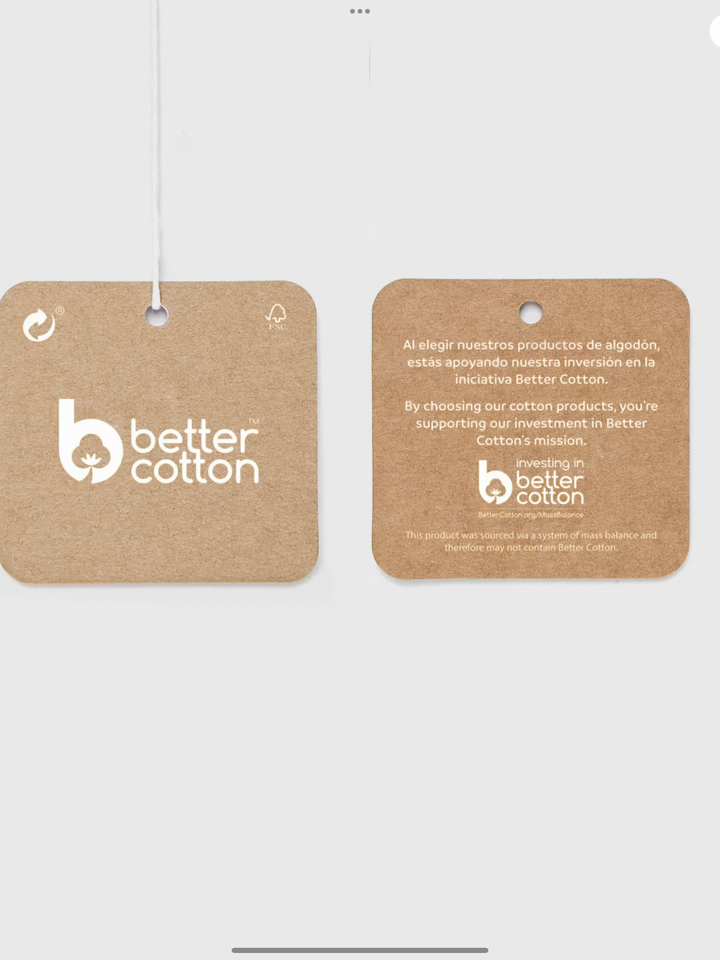 NEW SEASON MAYORAL SET 0925393