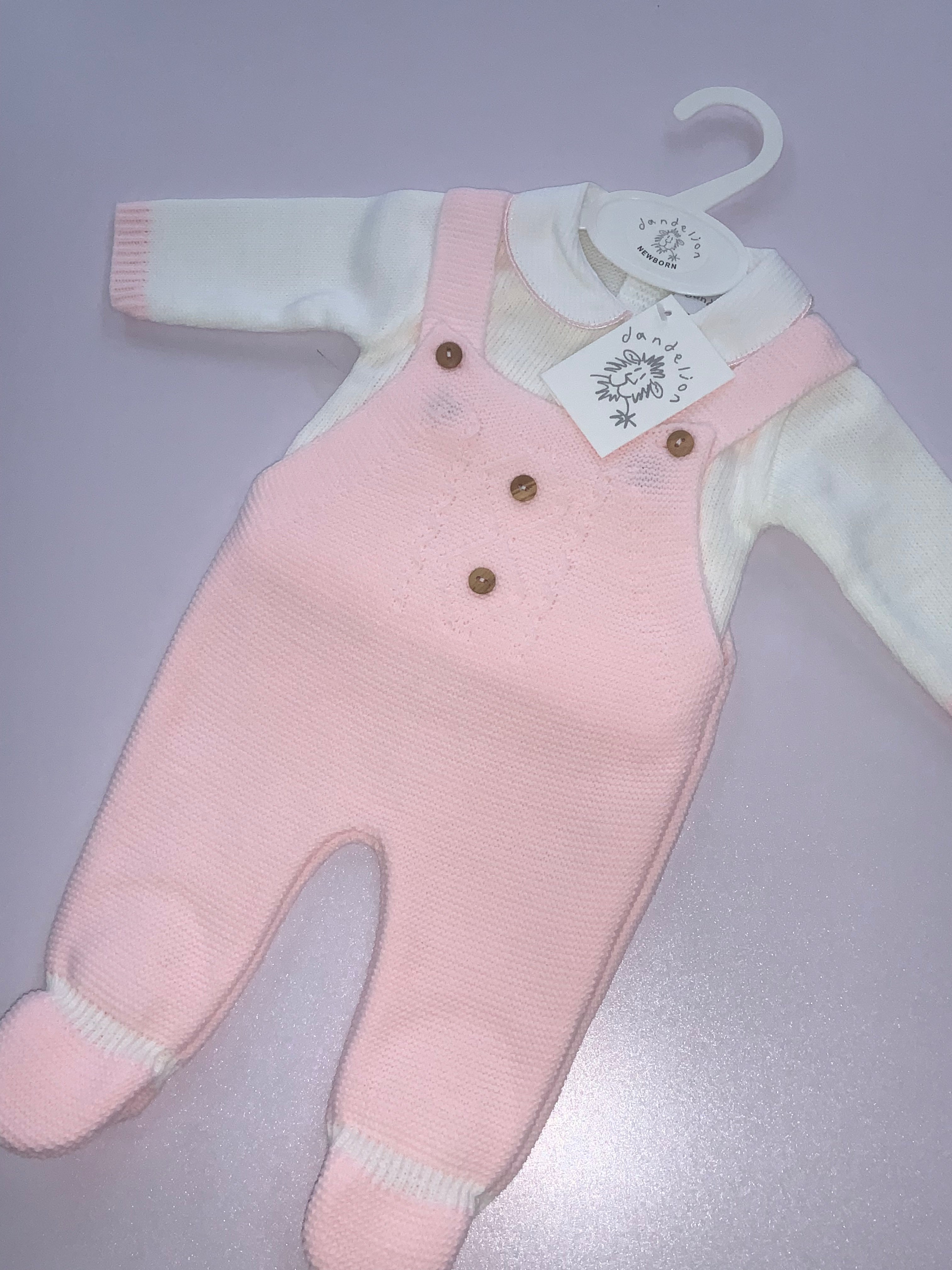 Dandelion set 05242318