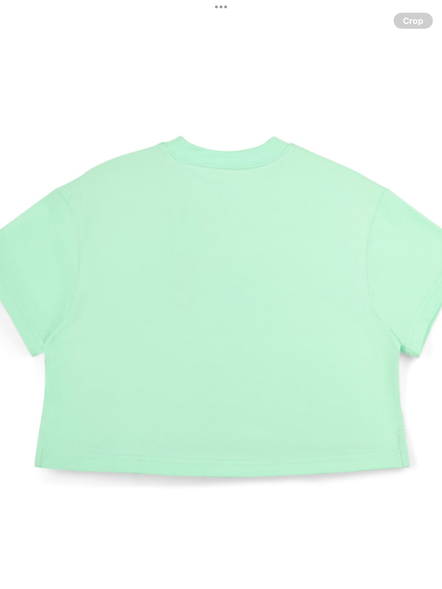 Bonini by A* Dee Shine Cropped Logo T-Shirt - Miami Mint   0126539