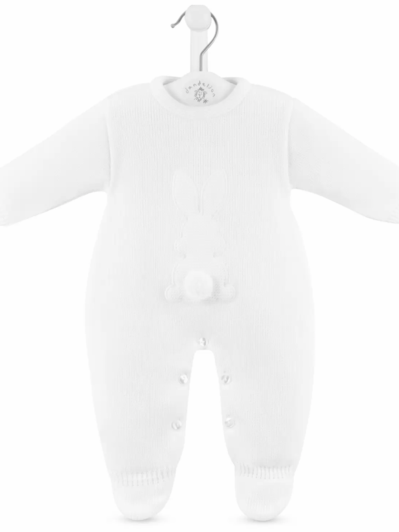 Dandelion white onesie with rabbit on.      11221315