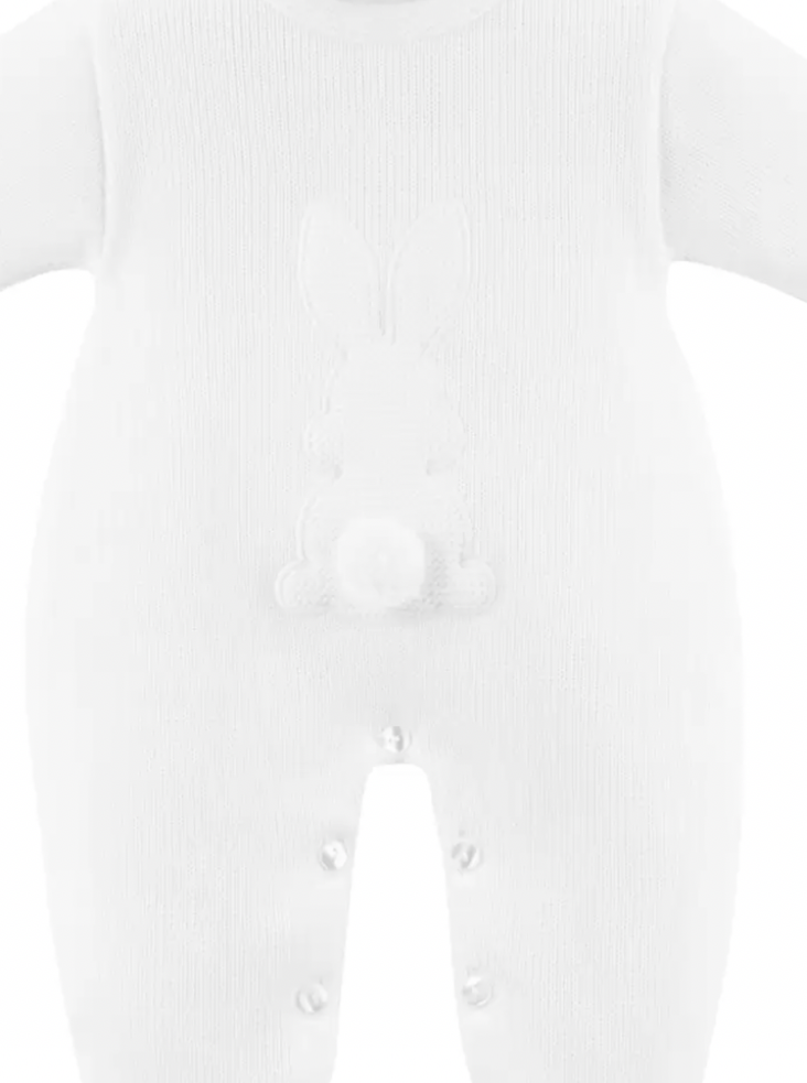 Dandelion white onesie with rabbit on.      11221315